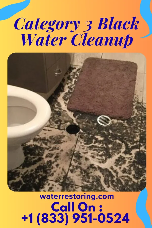 Category 3 Black Water Cleanup in Dalworthington Gardens, TX